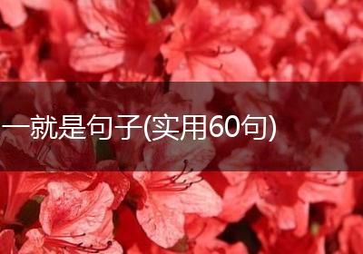一就是句子(实用60句)
