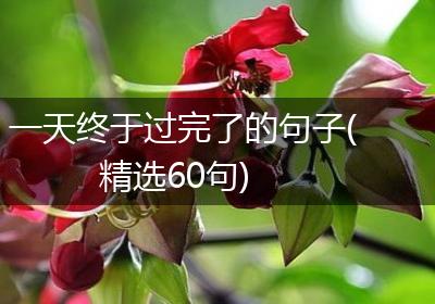 一天终于过完了的句子(精选60句)