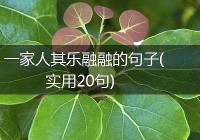 一家人其乐融融的句子(实用20句)