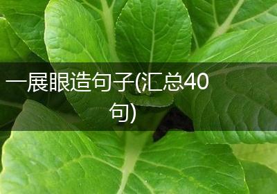 一展眼造句子(汇总40句)
