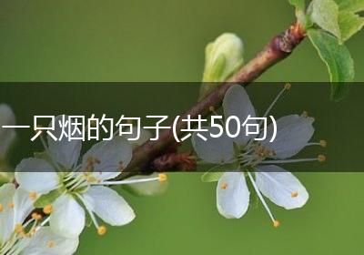 一只烟的句子(共50句)