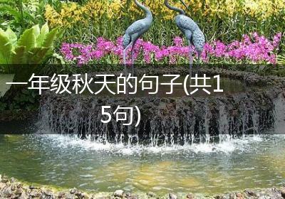 一年级秋天的句子(共15句)
