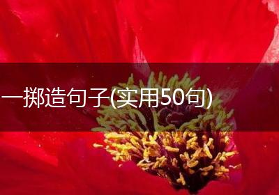 一掷造句子(实用50句)
