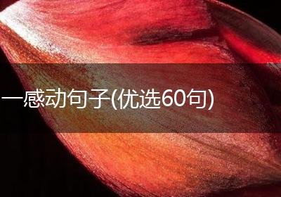 一感动句子(优选60句)