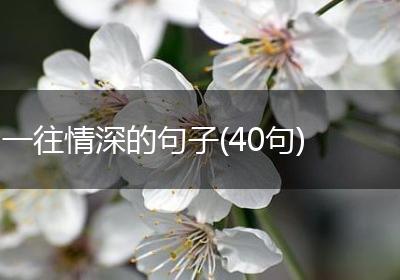 一往情深的句子(40句)