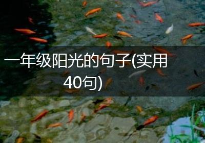 一年级阳光的句子(实用40句)