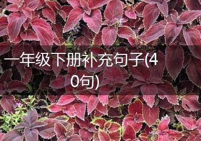 一年级下册补充句子(40句)
