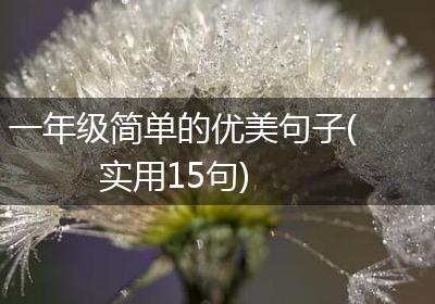 一年级简单的优美句子(实用15句)