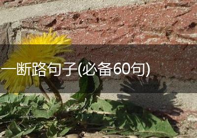 一断路句子(必备60句)