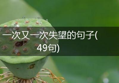 一次又一次失望的句子(49句)