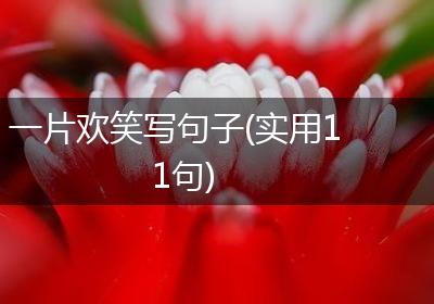 一片欢笑写句子(实用11句)