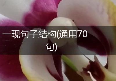 一现句子结构(通用70句)