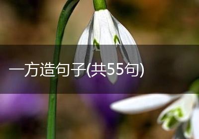 一方造句子(共55句)