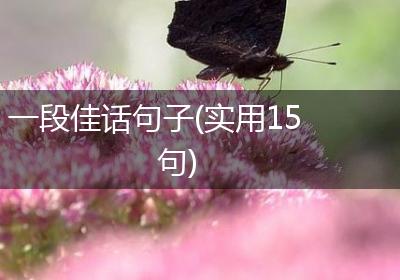 一段佳话句子(实用15句)