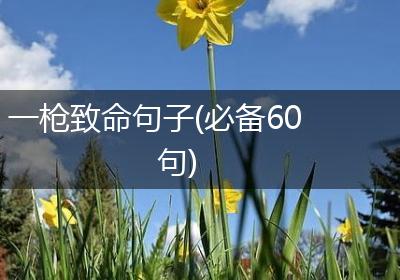 一枪致命句子(必备60句)