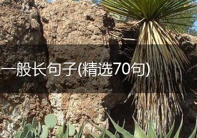 一般长句子(精选70句)