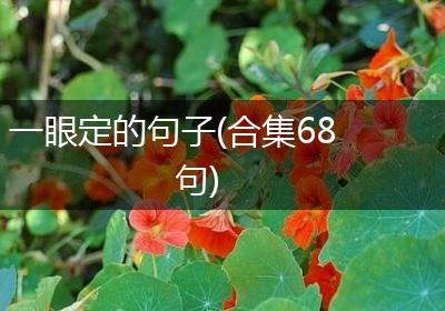 一眼定的句子(合集68句)