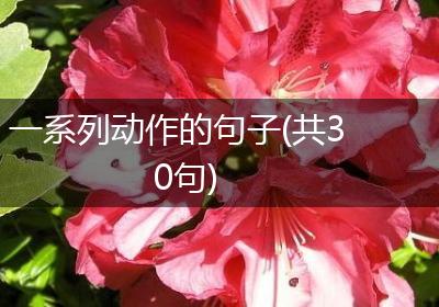 一系列动作的句子(共30句)