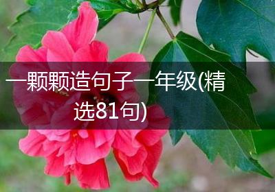 一颗颗造句子一年级(精选81句)