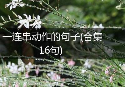 一连串动作的句子(合集16句)