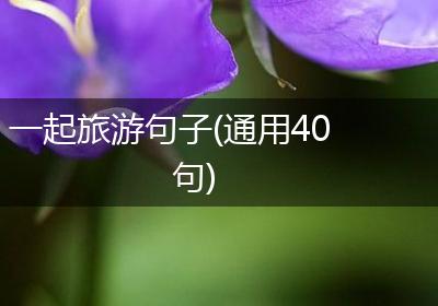 一起旅游句子(通用40句)