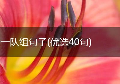 一队组句子(优选40句)