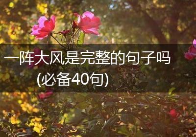 一阵大风是完整的句子吗(必备40句)