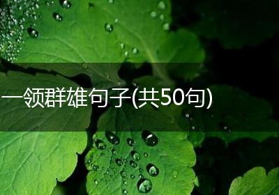 一领群雄句子(共50句)