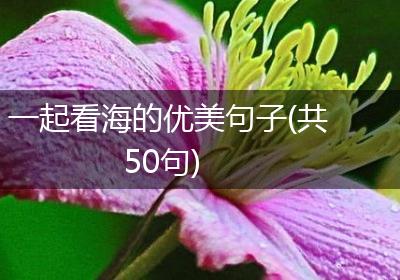 一起看海的优美句子(共50句)