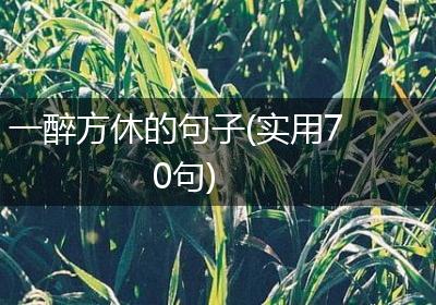 一醉方休的句子(实用70句)