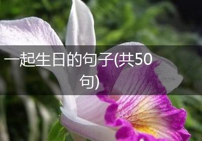 一起生日的句子(共50句)
