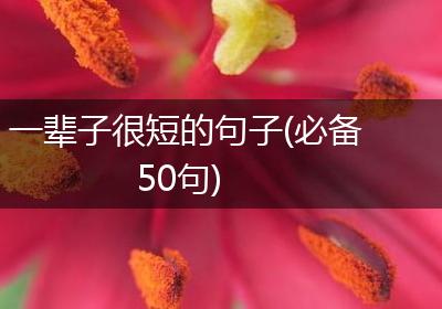 一辈子很短的句子(必备50句)