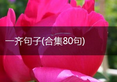 一齐句子(合集80句)