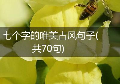 七个字的唯美古风句子(共70句)