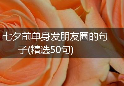 七夕前单身发朋友圈的句子(精选50句)