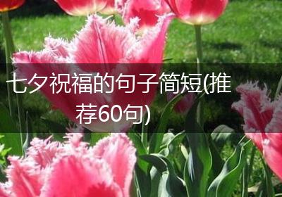 七夕祝福的句子简短(推荐60句)