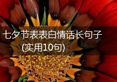 七夕节表表白情话长句子(实用10句)