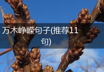 万木峥嵘句子(推荐11句)