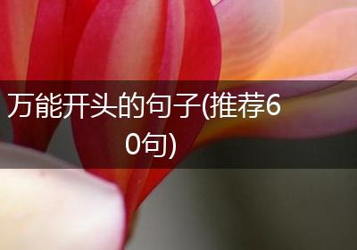 万能开头的句子(推荐60句)