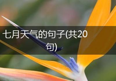 七月天气的句子(共20句)