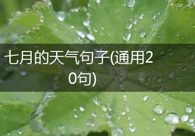 七月的天气句子(通用20句)