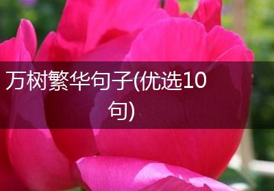 万树繁华句子(优选10句)