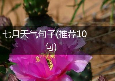 七月天气句子(推荐10句)