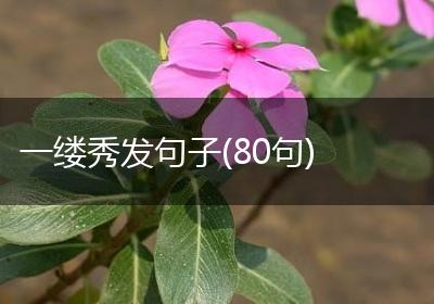 一缕秀发句子(80句)