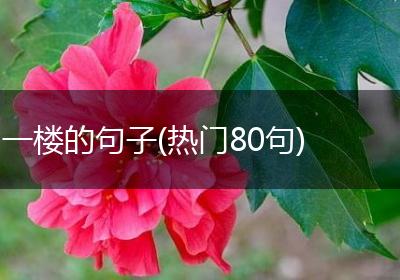 一楼的句子(热门80句)