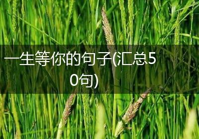 一生等你的句子(汇总50句)
