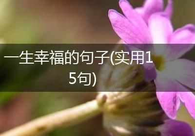 一生幸福的句子(实用15句)