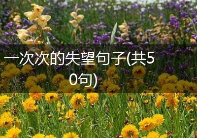 一次次的失望句子(共50句)