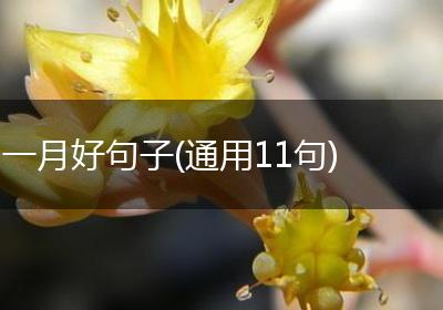 一月好句子(通用11句)