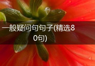 一般疑问句句子(精选80句)